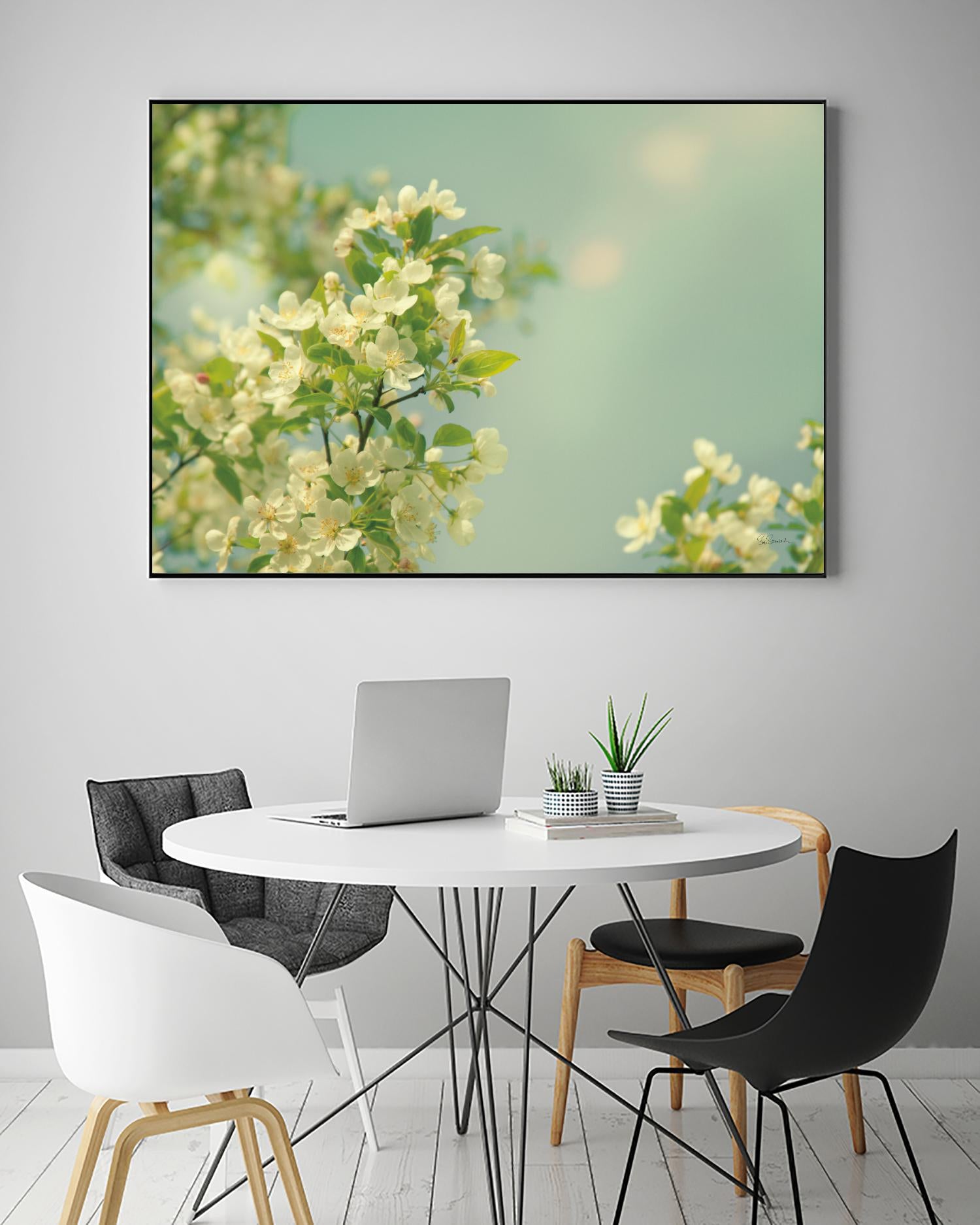 Spring Beauty I by Sue Schlabach on GIANT ART - white floral