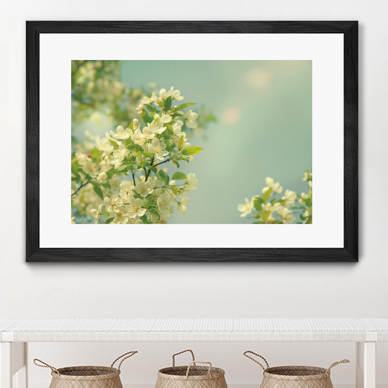 Spring Beauty I by Sue Schlabach on GIANT ART - white floral