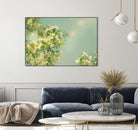 Spring Beauty I by Sue Schlabach on GIANT ART - white floral
