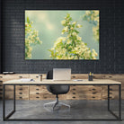 Spring Beauty II by Sue Schlabach on GIANT ART - white floral