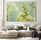 Spring Beauty II by Sue Schlabach on GIANT ART - white floral