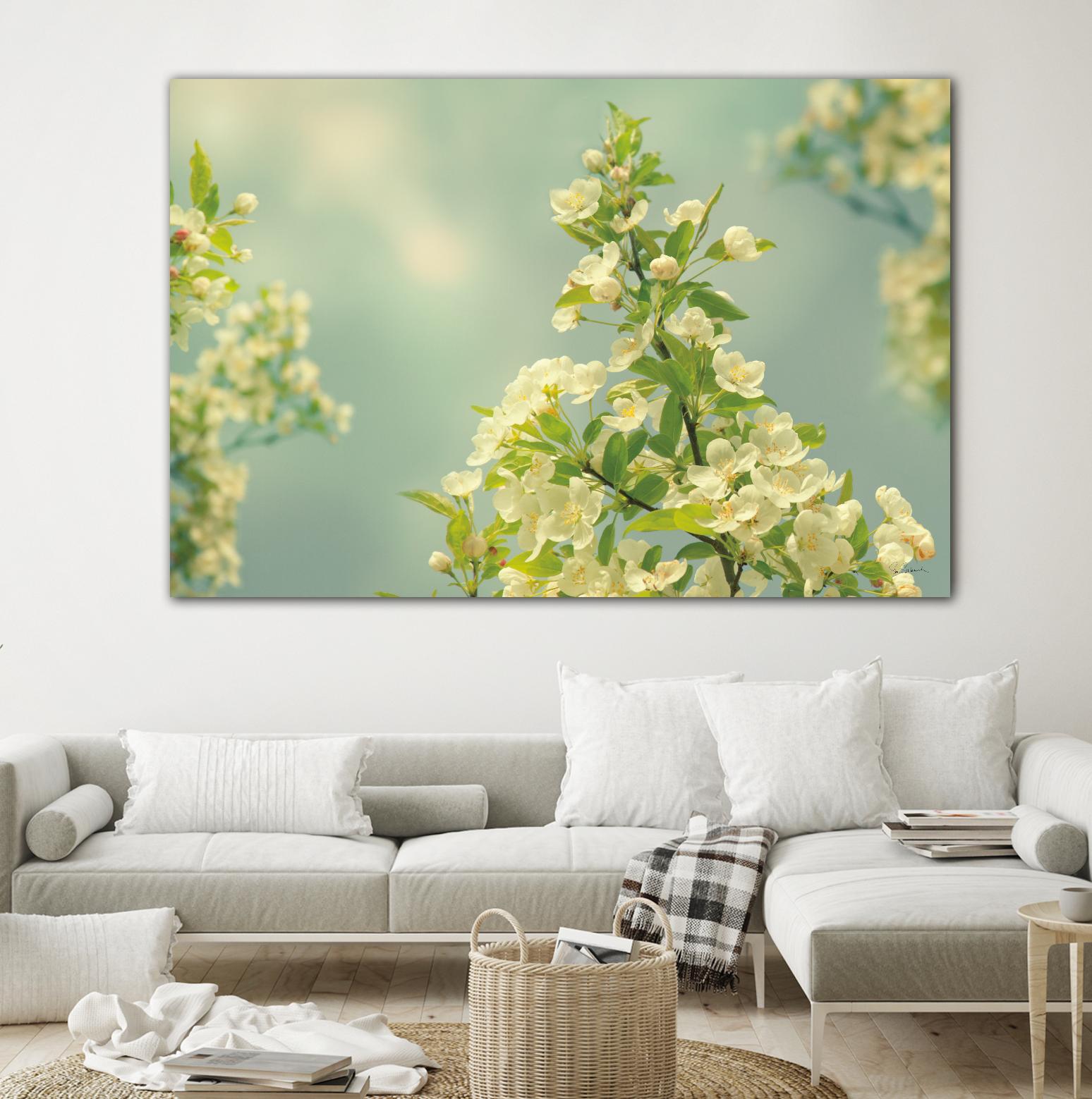 Spring Beauty II by Sue Schlabach on GIANT ART - white floral