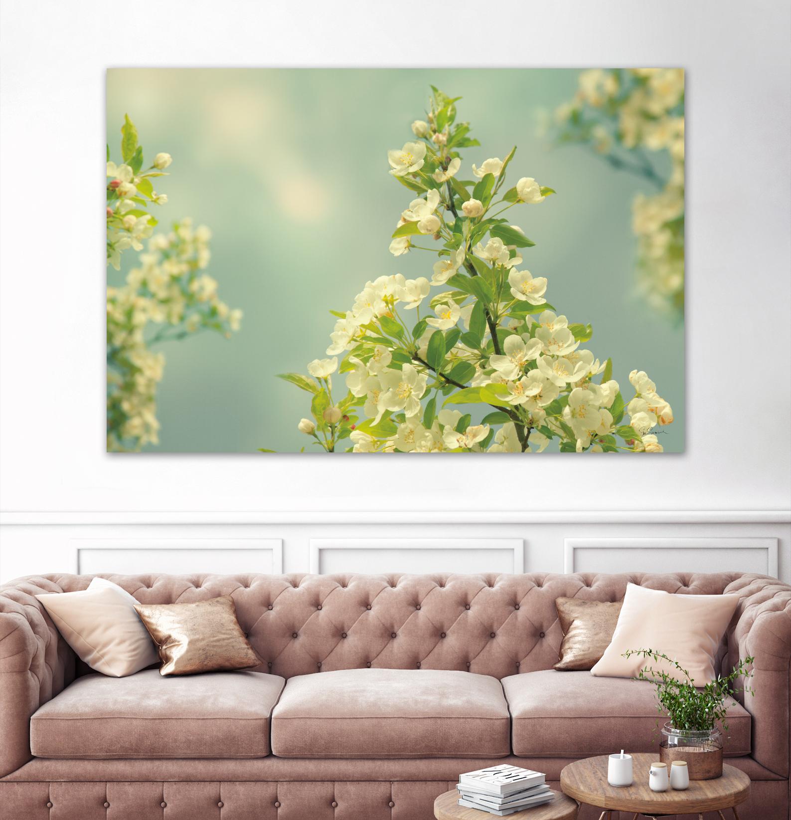 Spring Beauty II by Sue Schlabach on GIANT ART - white floral
