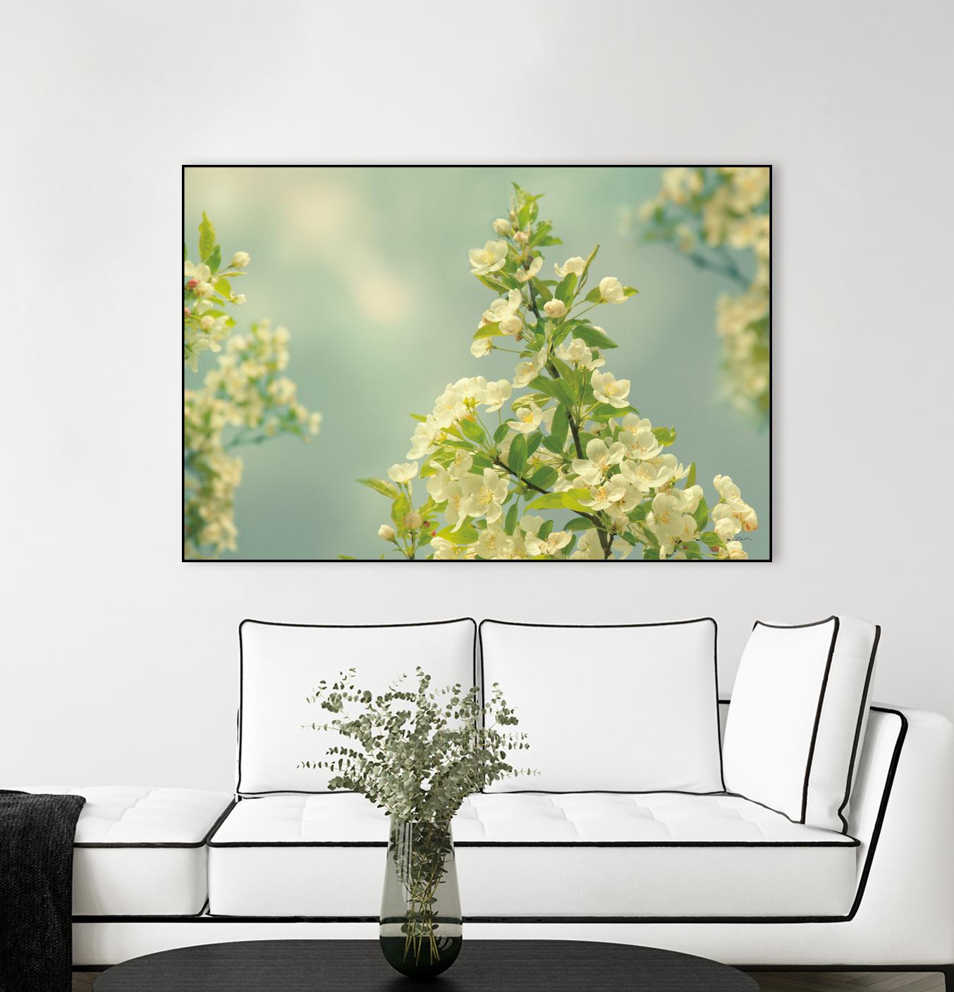 Spring Beauty II by Sue Schlabach on GIANT ART - white floral