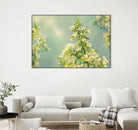 Spring Beauty II by Sue Schlabach on GIANT ART - white floral