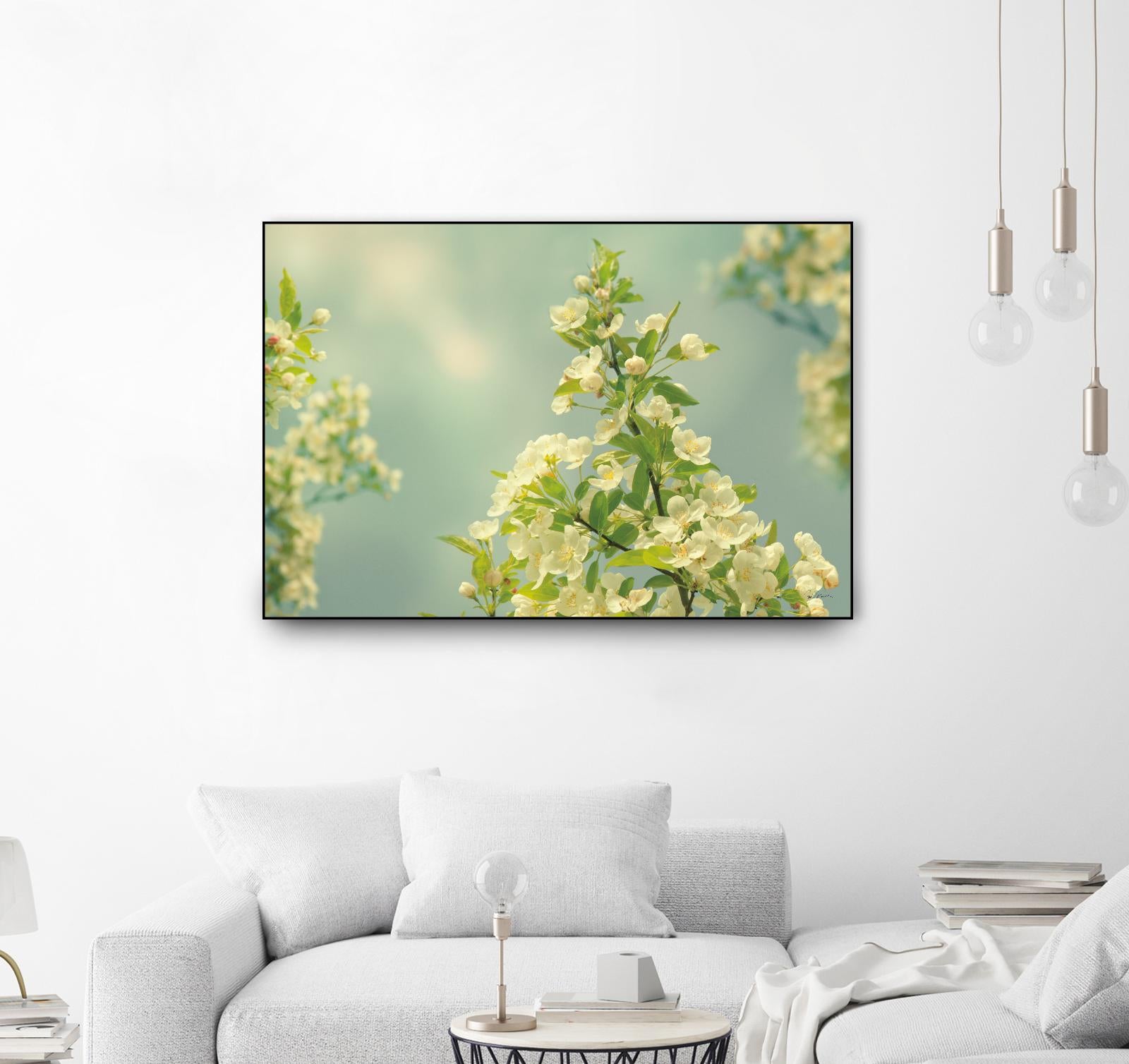 Spring Beauty II by Sue Schlabach on GIANT ART - white floral