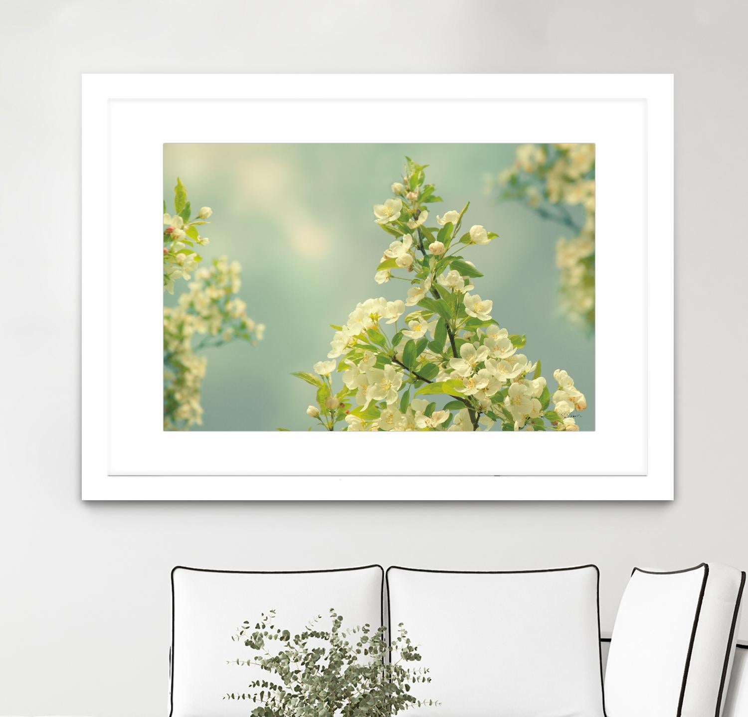 Spring Beauty II by Sue Schlabach on GIANT ART - white floral