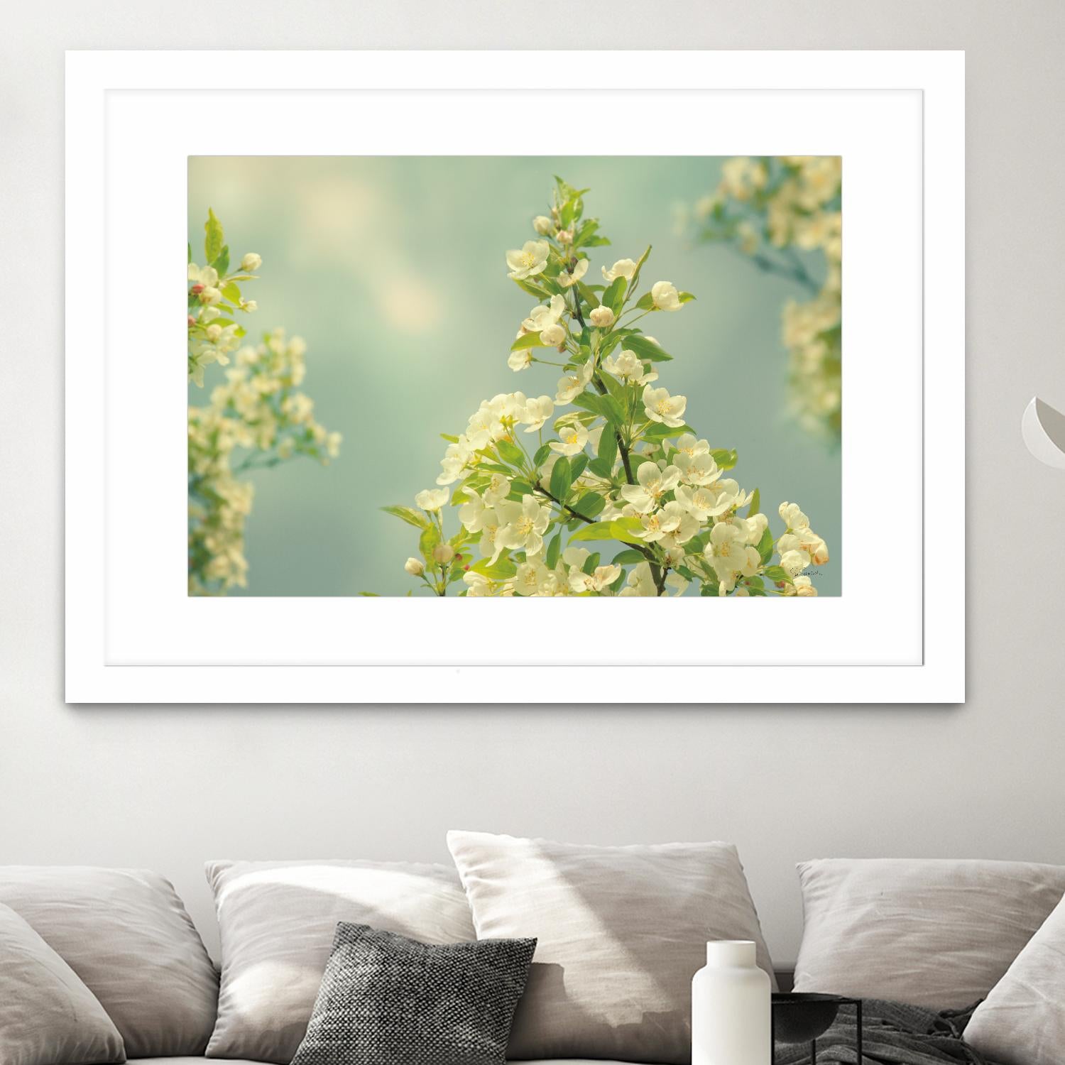 Spring Beauty II by Sue Schlabach on GIANT ART - white floral