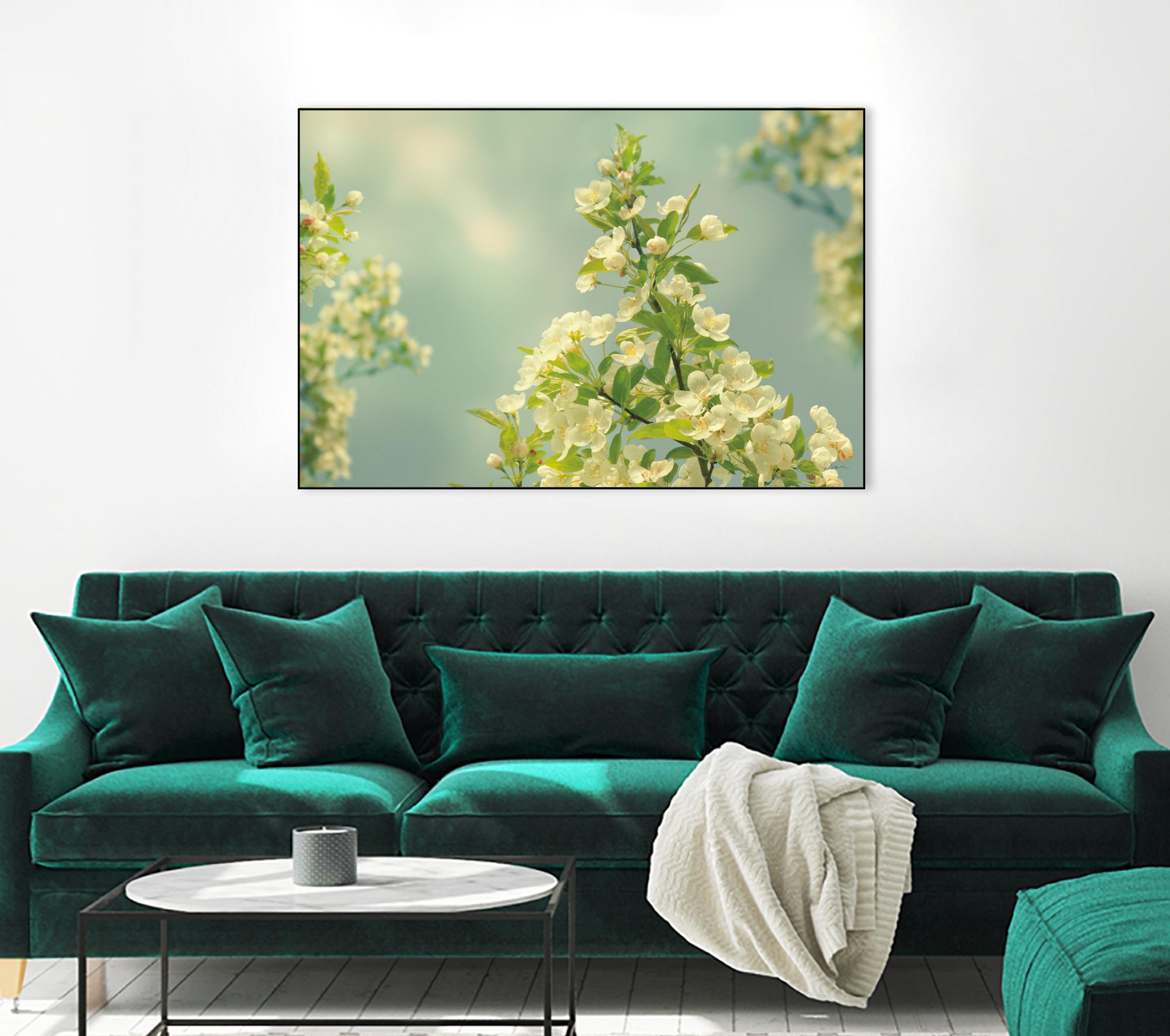 Spring Beauty II by Sue Schlabach on GIANT ART - white floral