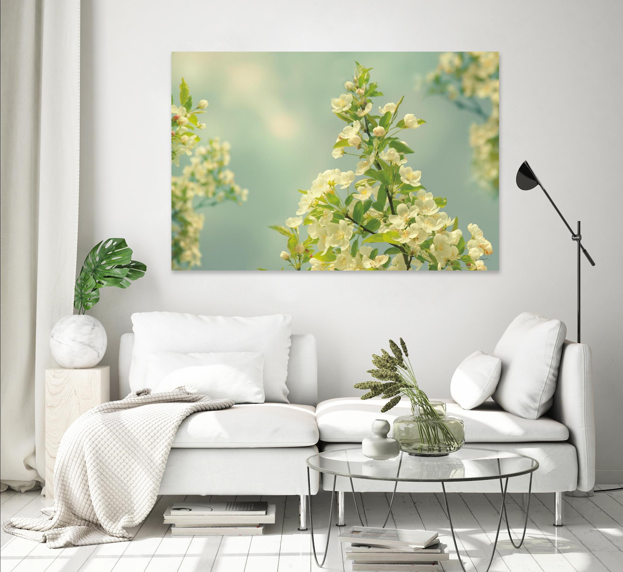 Spring Beauty II by Sue Schlabach on GIANT ART - white floral