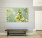Spring Beauty II by Sue Schlabach on GIANT ART - white floral