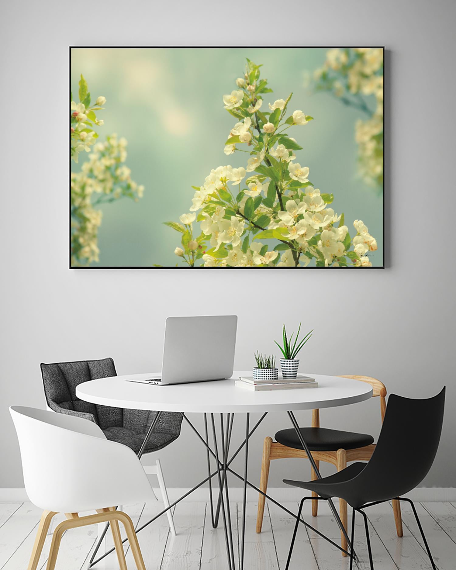 Spring Beauty II by Sue Schlabach on GIANT ART - white floral