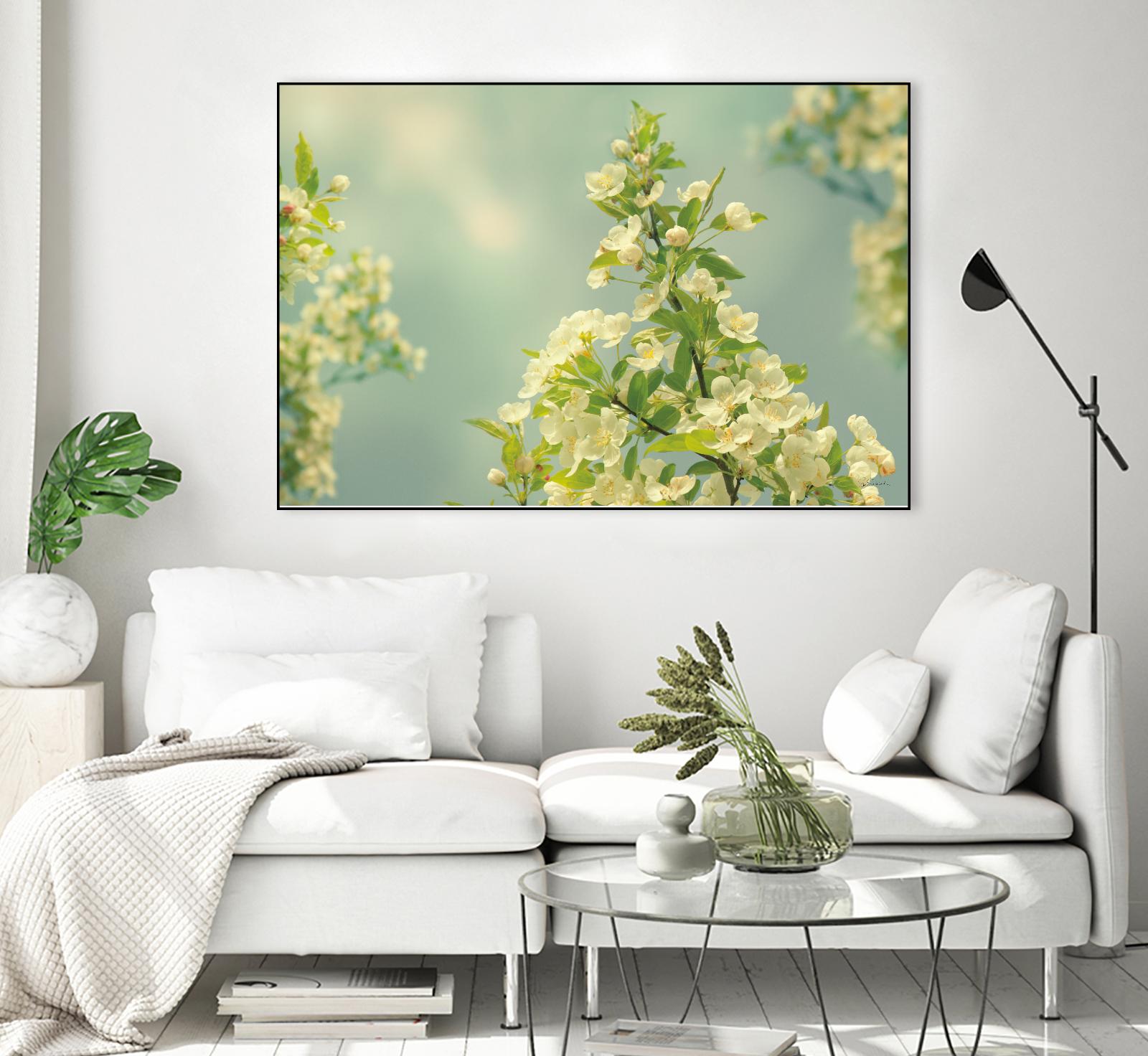 Spring Beauty II by Sue Schlabach on GIANT ART - white floral