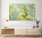 Spring Beauty II by Sue Schlabach on GIANT ART - white floral