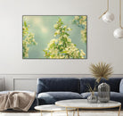 Spring Beauty II by Sue Schlabach on GIANT ART - white floral