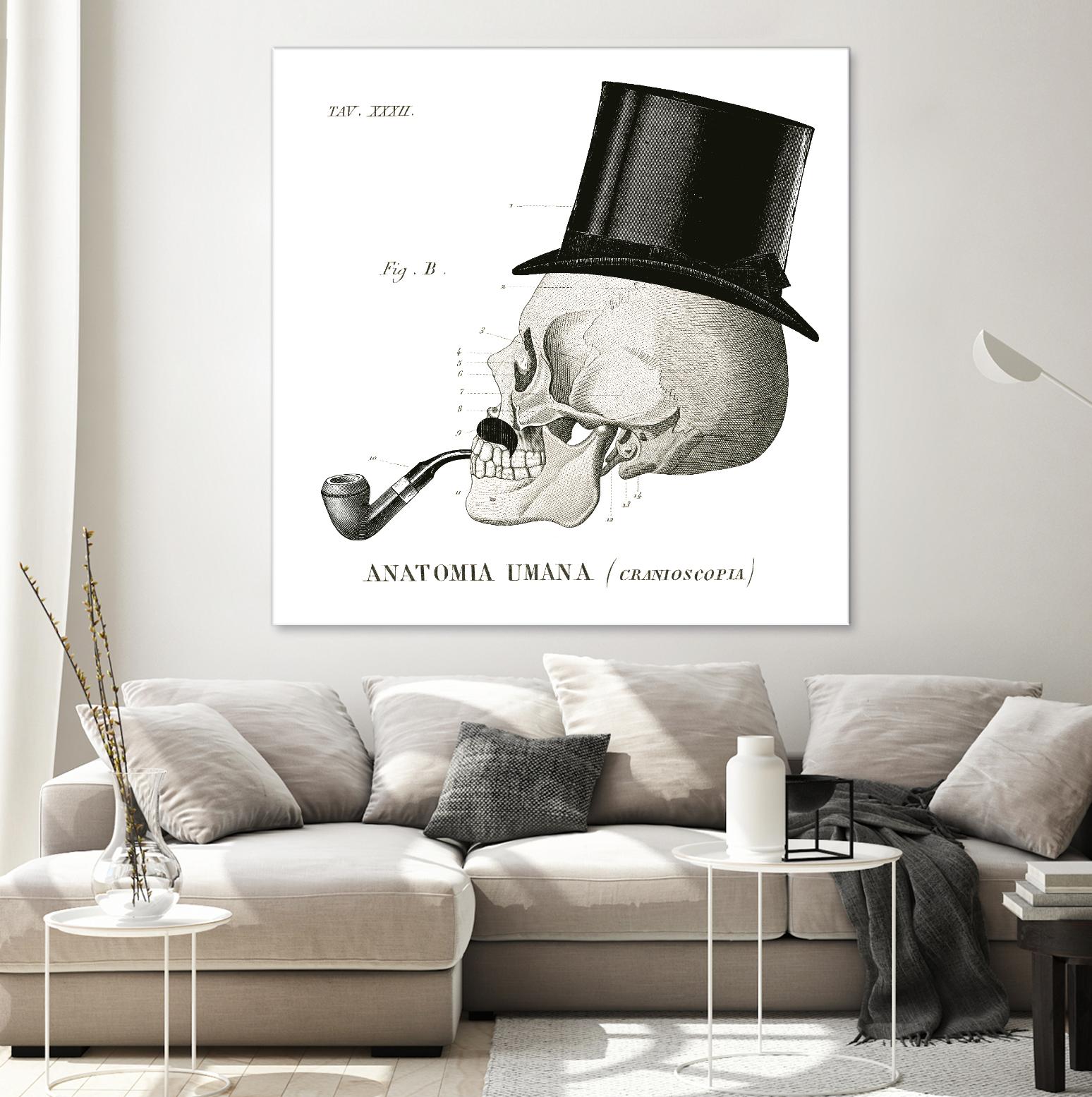 Dandy Bones II by Sue Schlabach on GIANT ART - white vintage