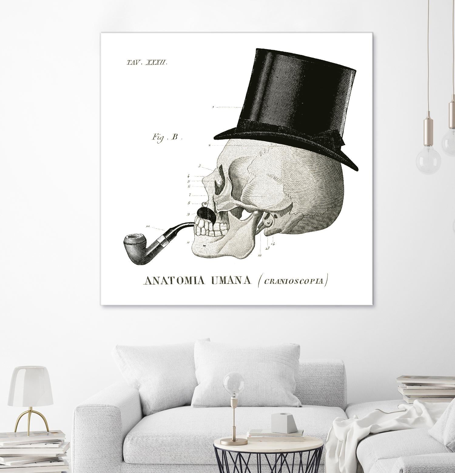 Dandy Bones II by Sue Schlabach on GIANT ART - white vintage
