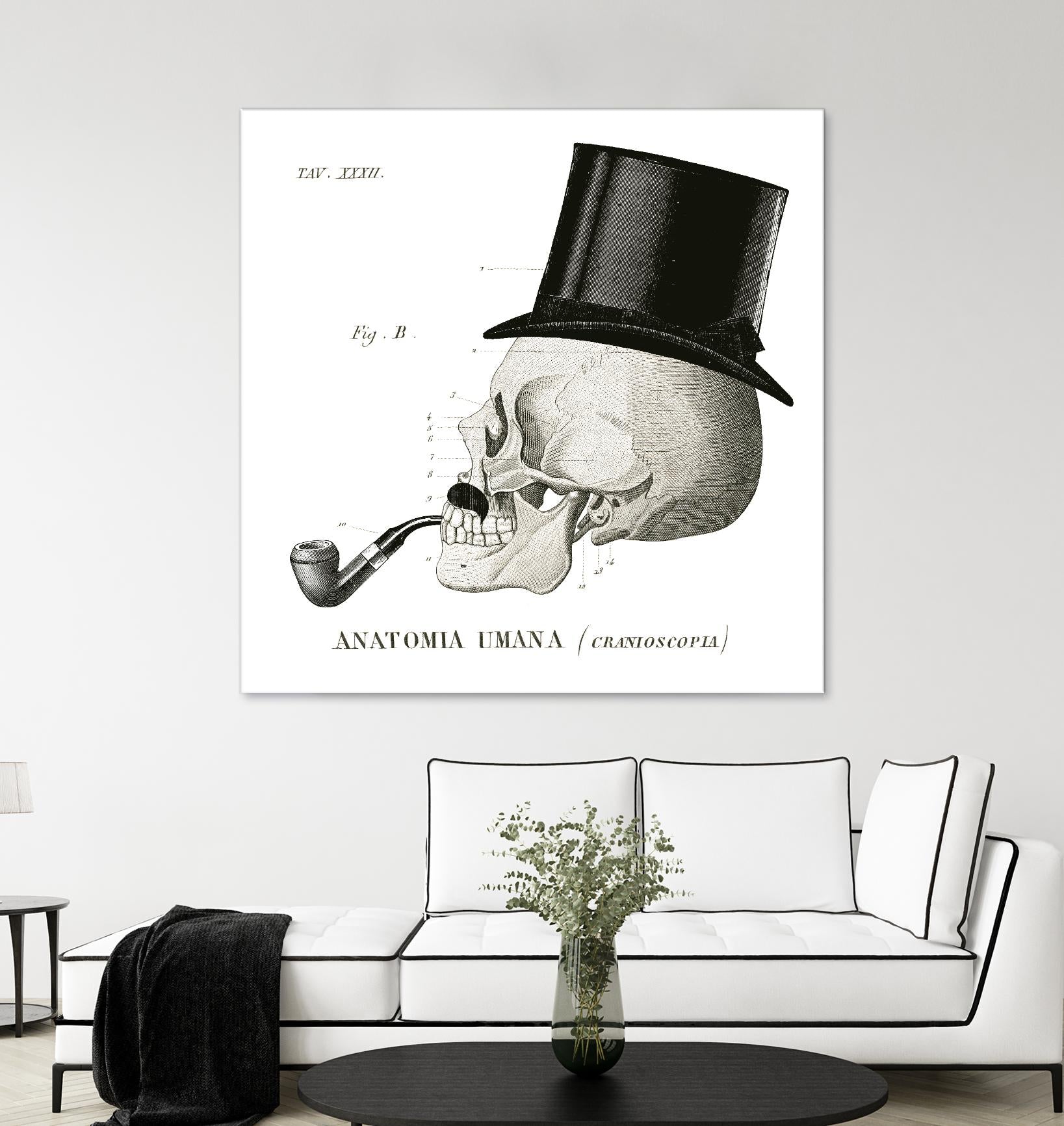 Dandy Bones II by Sue Schlabach on GIANT ART - white vintage