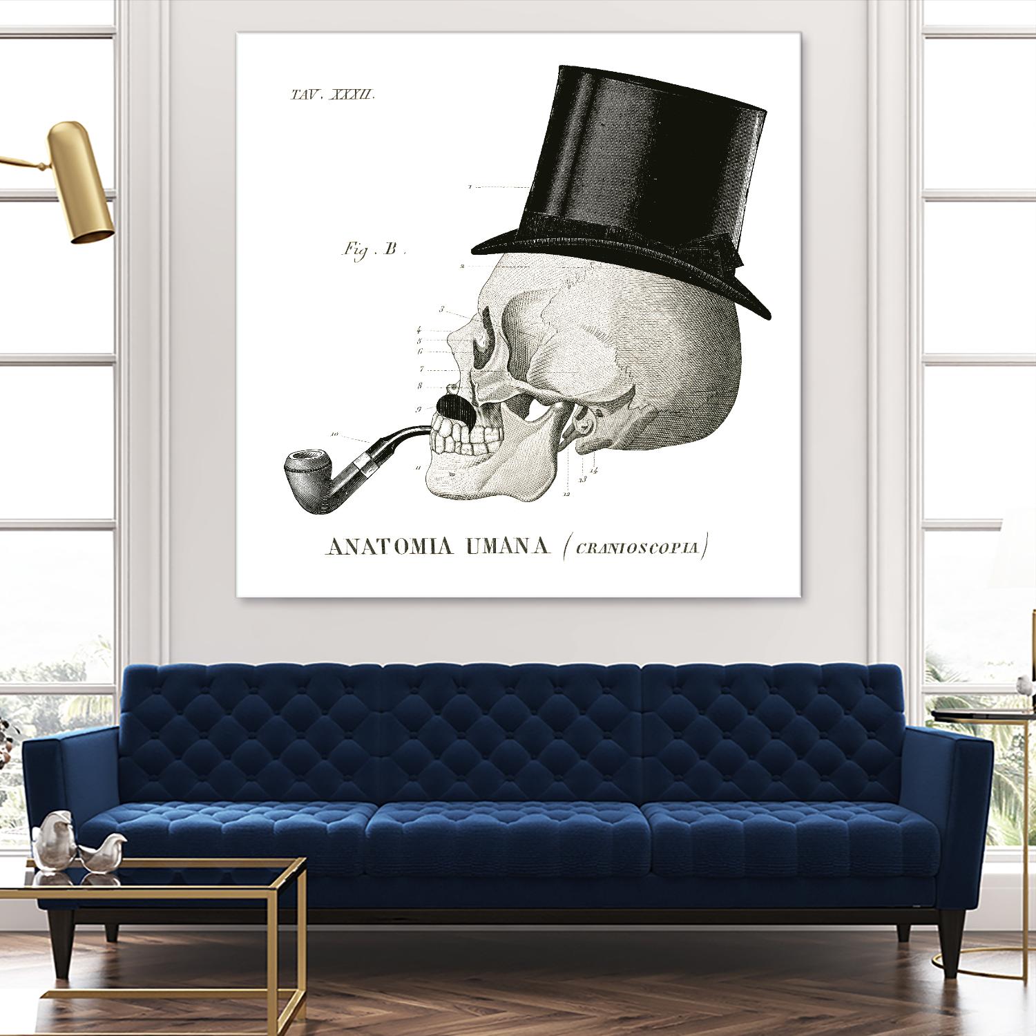 Dandy Bones II by Sue Schlabach on GIANT ART - white vintage