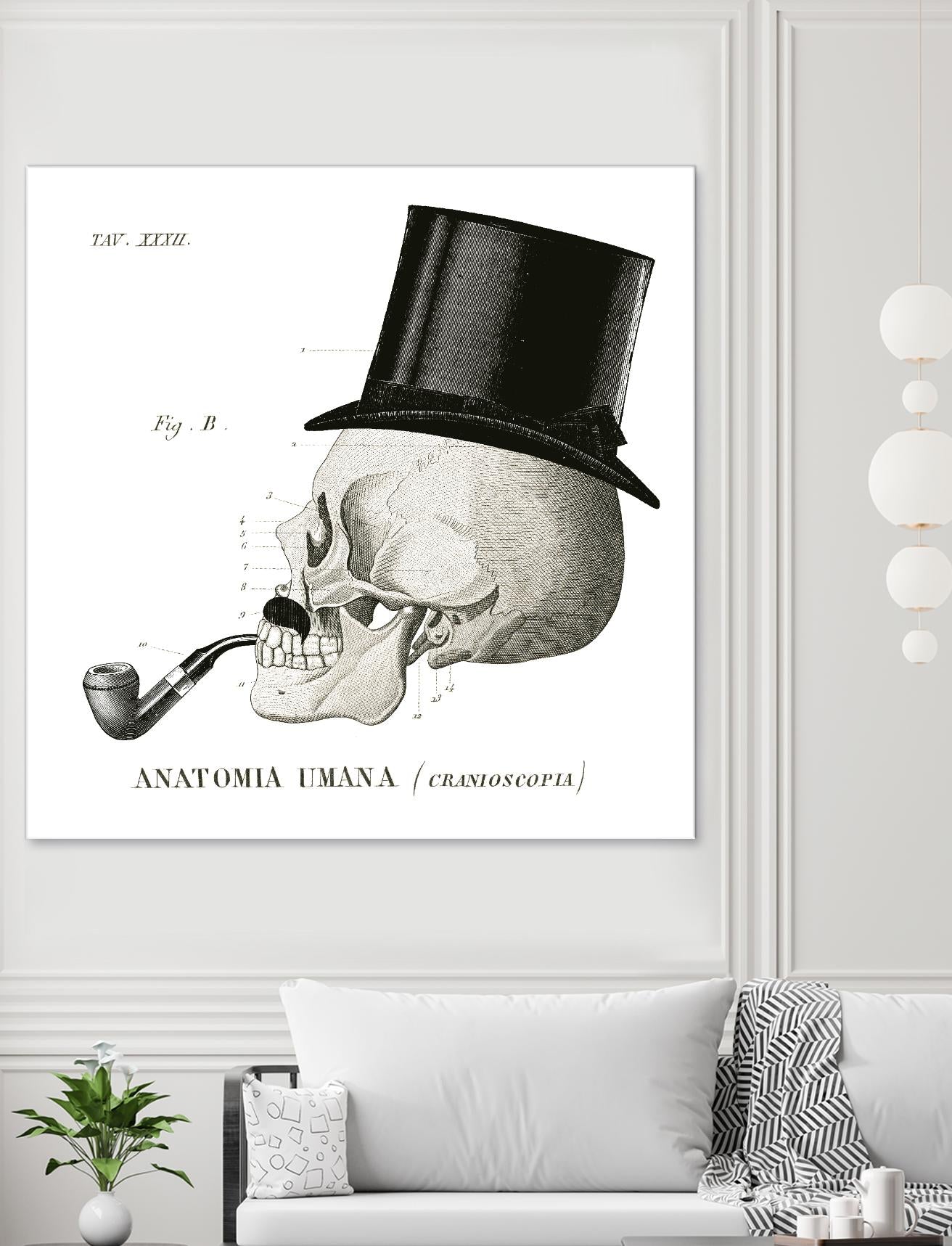 Dandy Bones II by Sue Schlabach on GIANT ART - white vintage