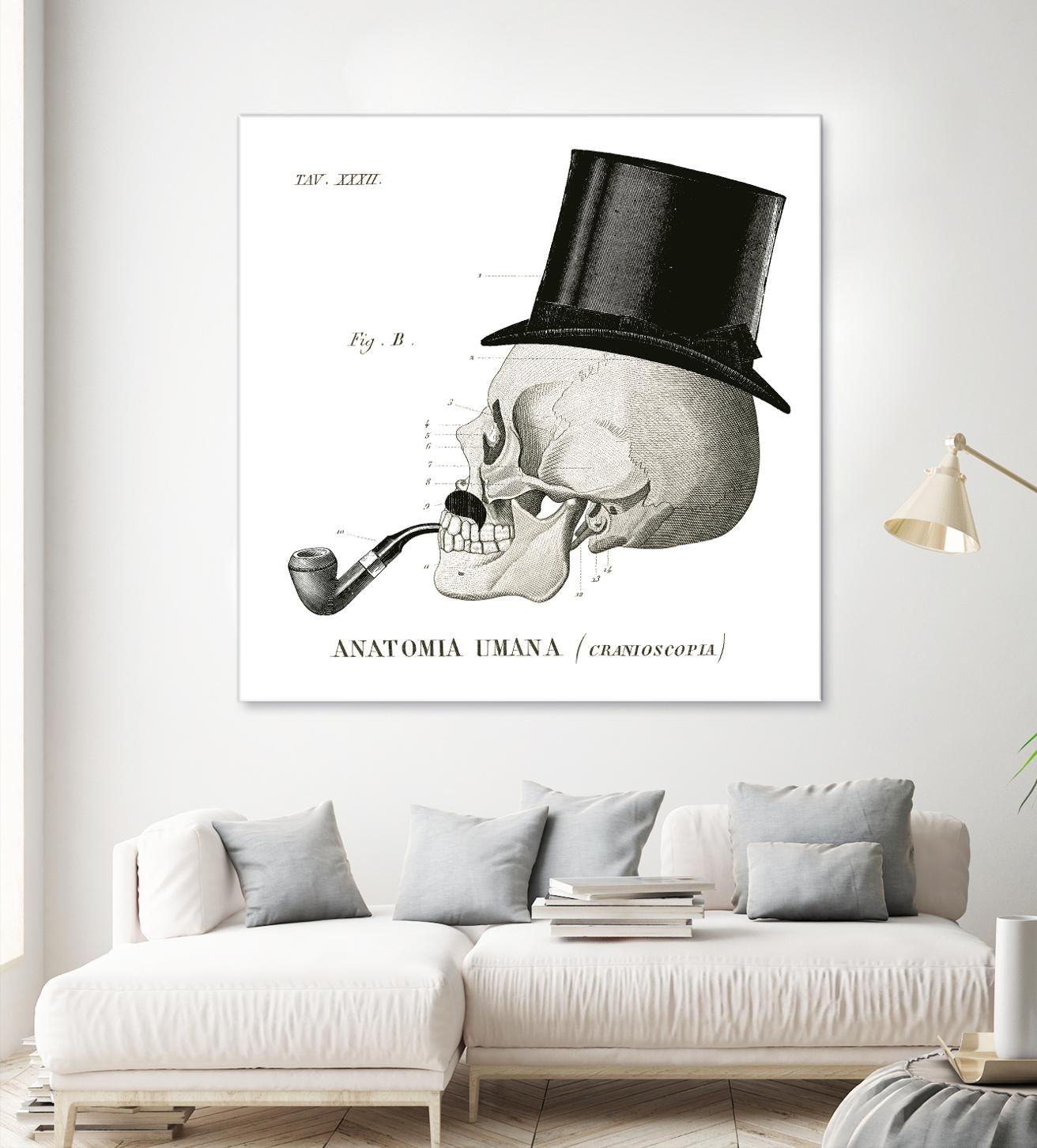 Dandy Bones II by Sue Schlabach on GIANT ART - white vintage