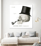 Dandy Bones II by Sue Schlabach on GIANT ART - white vintage