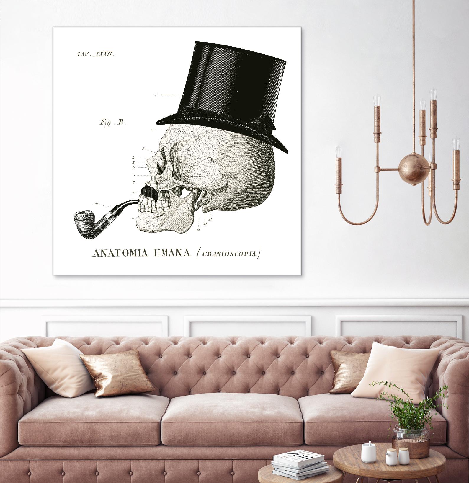 Dandy Bones II by Sue Schlabach on GIANT ART - white vintage