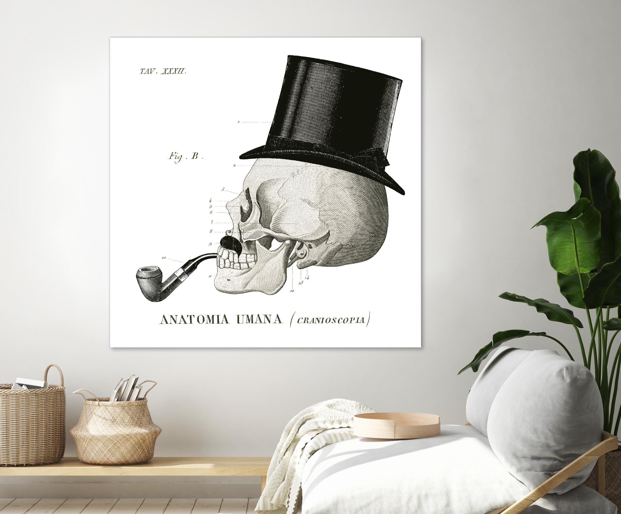 Dandy Bones II by Sue Schlabach on GIANT ART - white vintage