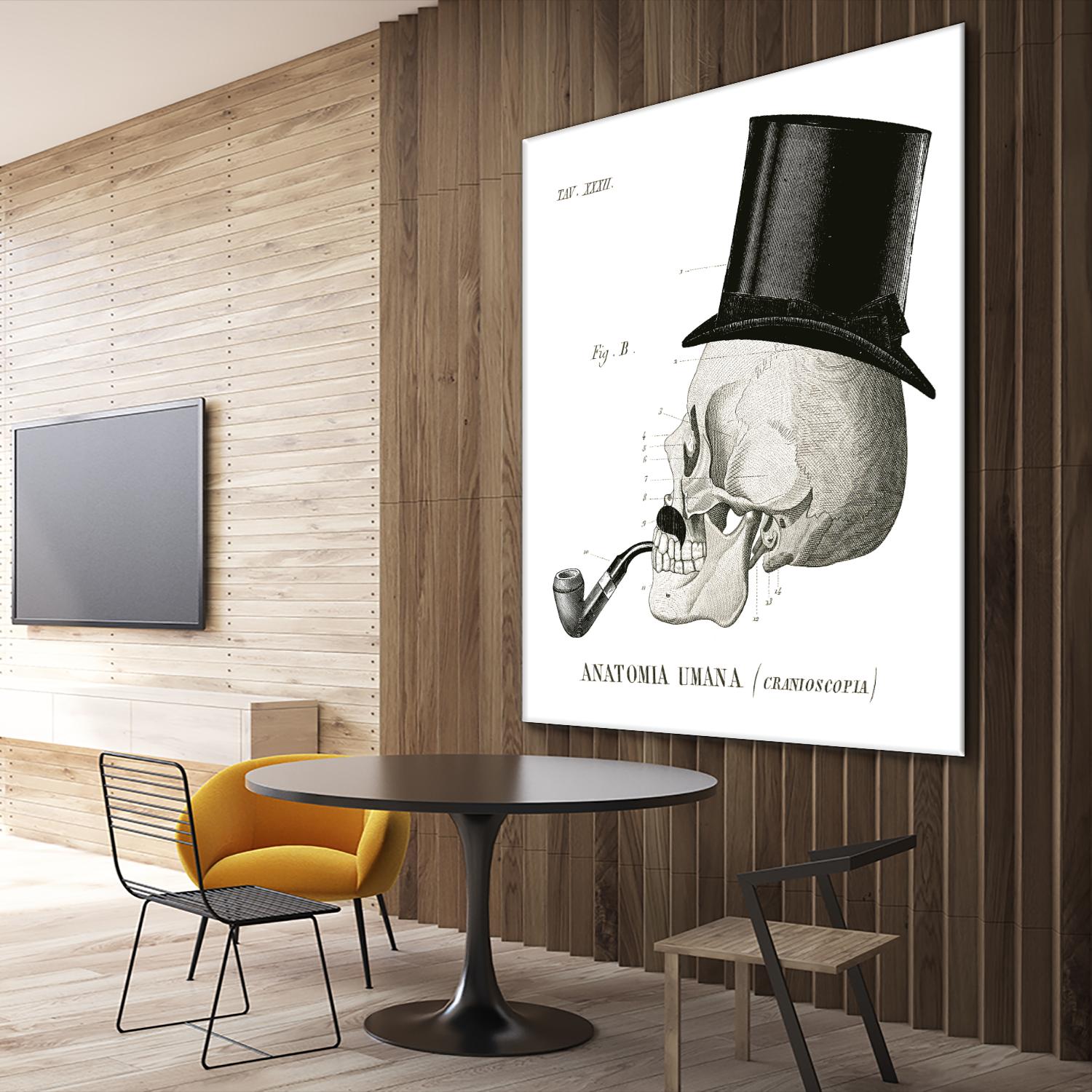 Dandy Bones II by Sue Schlabach on GIANT ART - white vintage