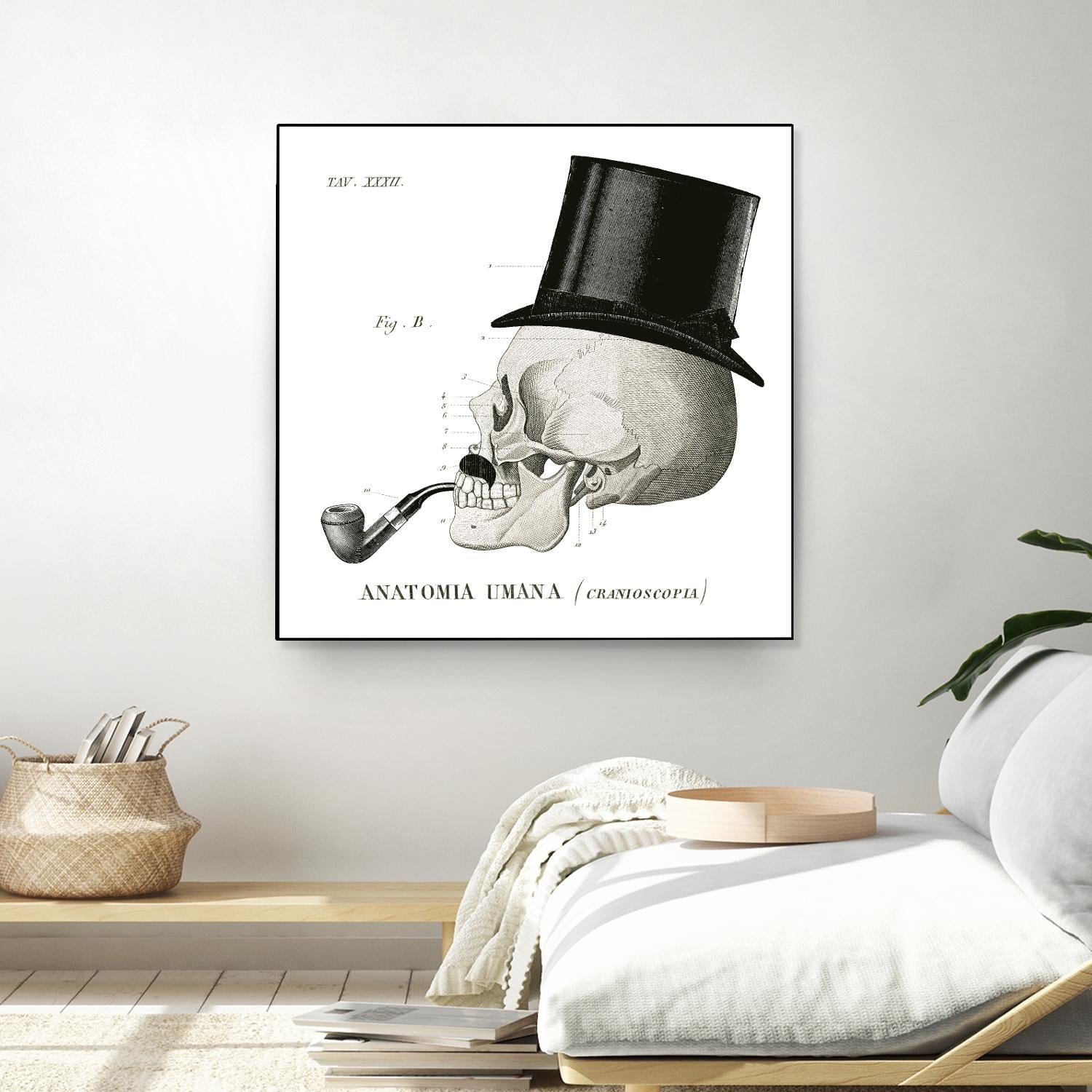 Dandy Bones II by Sue Schlabach on GIANT ART - white vintage