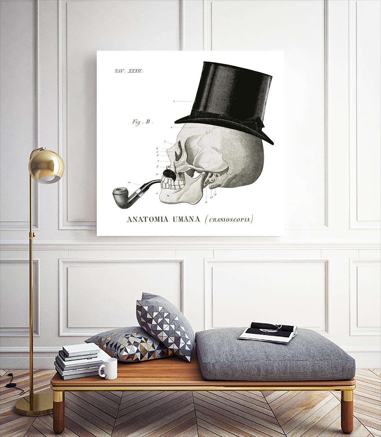 Dandy Bones II by Sue Schlabach on GIANT ART - white vintage