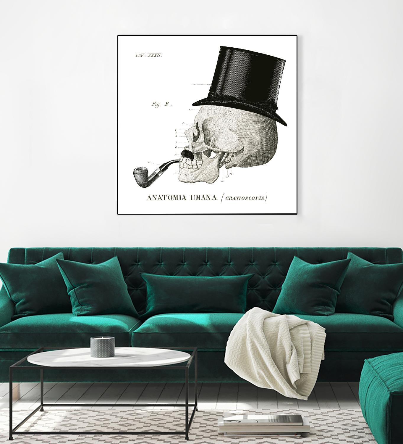 Dandy Bones II by Sue Schlabach on GIANT ART - white vintage