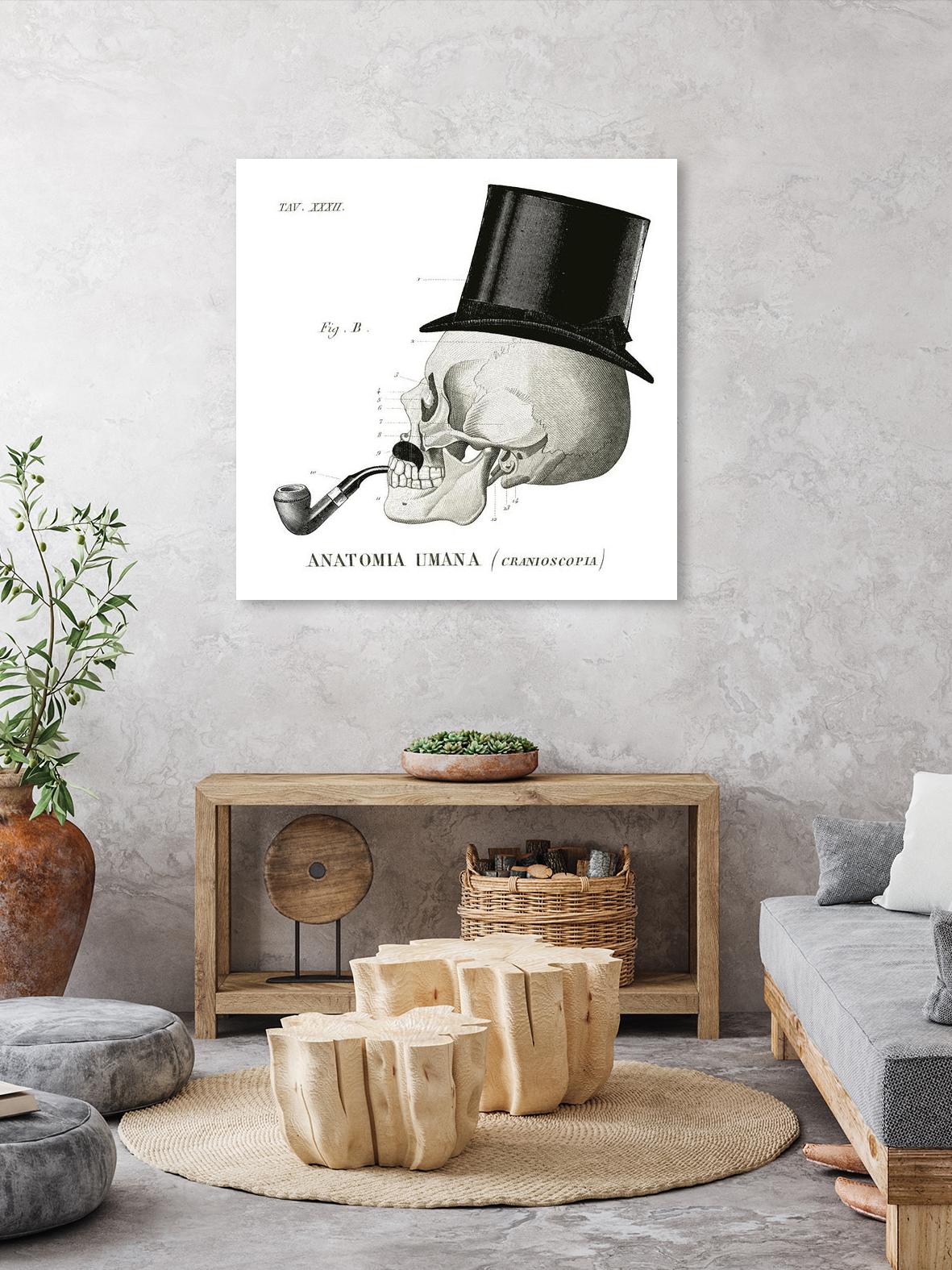 Dandy Bones II by Sue Schlabach on GIANT ART - white vintage