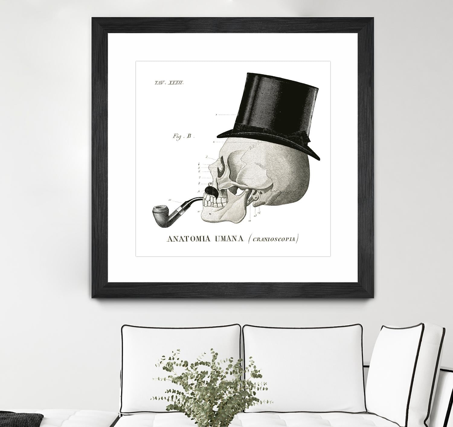 Dandy Bones II by Sue Schlabach on GIANT ART - white vintage