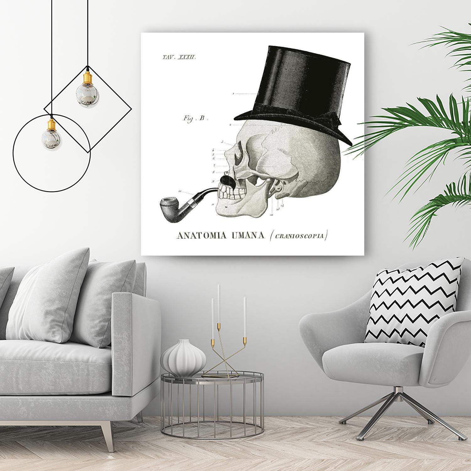 Dandy Bones II by Sue Schlabach on GIANT ART - white vintage