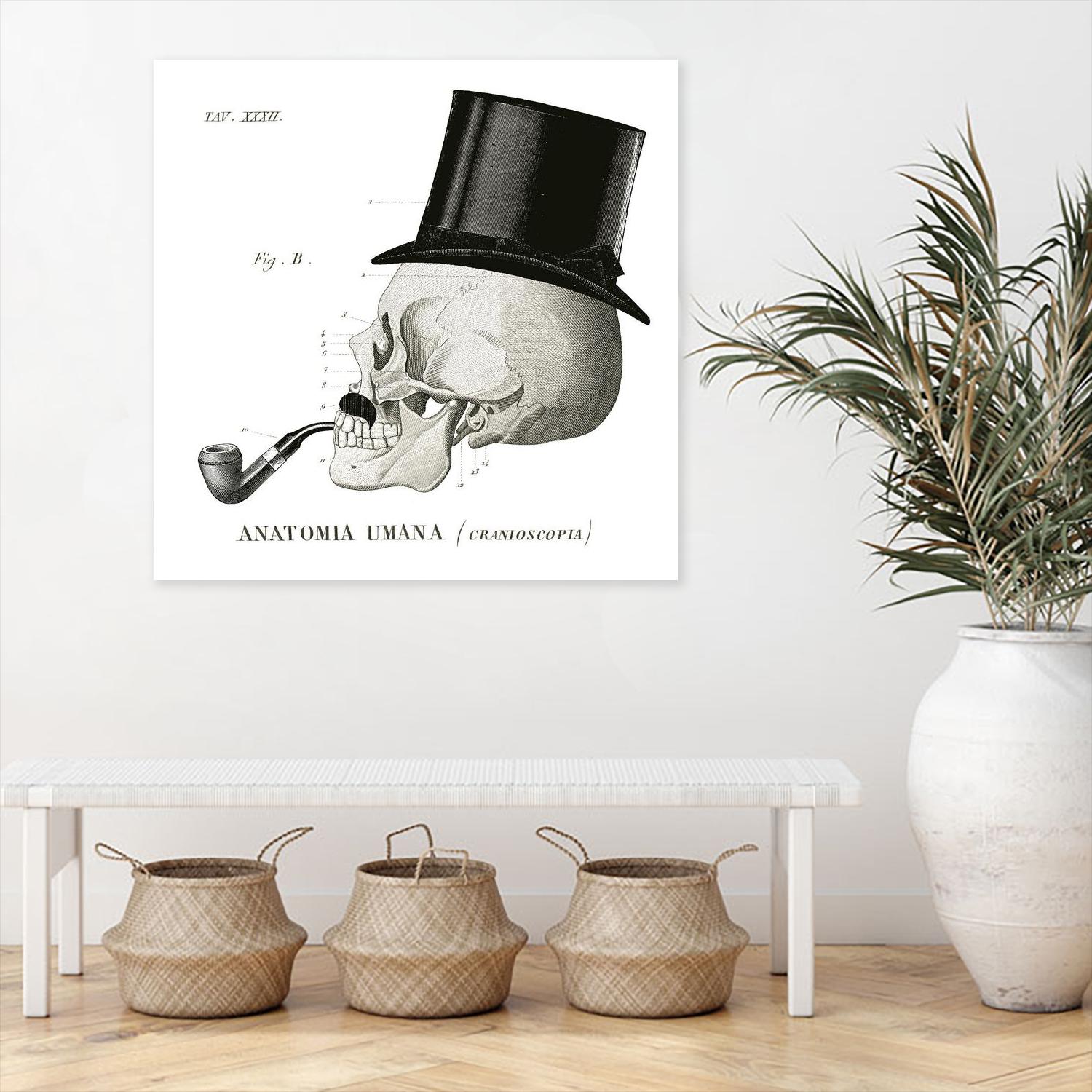 Dandy Bones II by Sue Schlabach on GIANT ART - white vintage