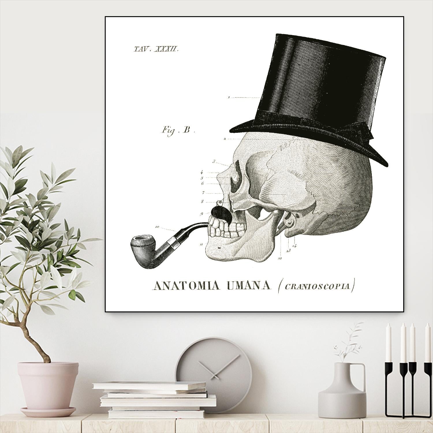 Dandy Bones II by Sue Schlabach on GIANT ART - white vintage