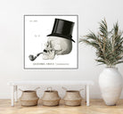 Dandy Bones II by Sue Schlabach on GIANT ART - white vintage
