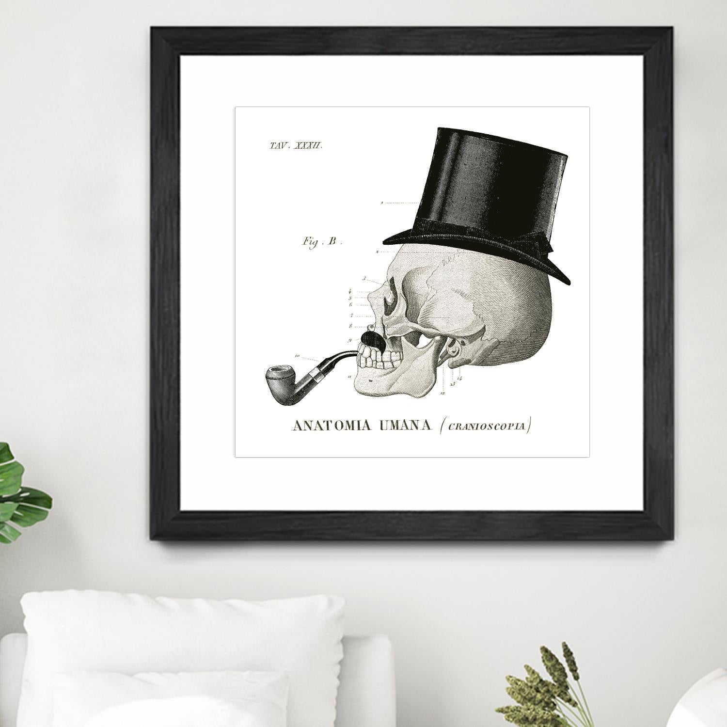 Dandy Bones II by Sue Schlabach on GIANT ART - white vintage