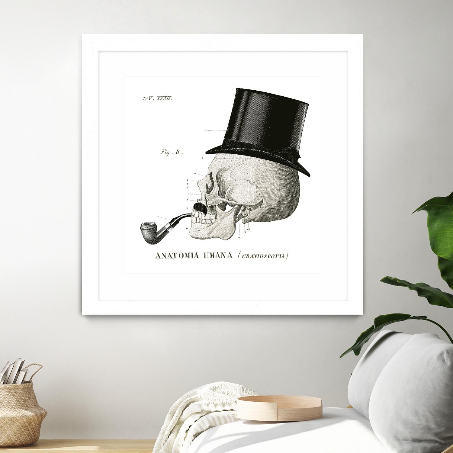 Dandy Bones II by Sue Schlabach on GIANT ART - white vintage