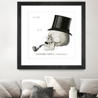 Dandy Bones II by Sue Schlabach on GIANT ART - white vintage