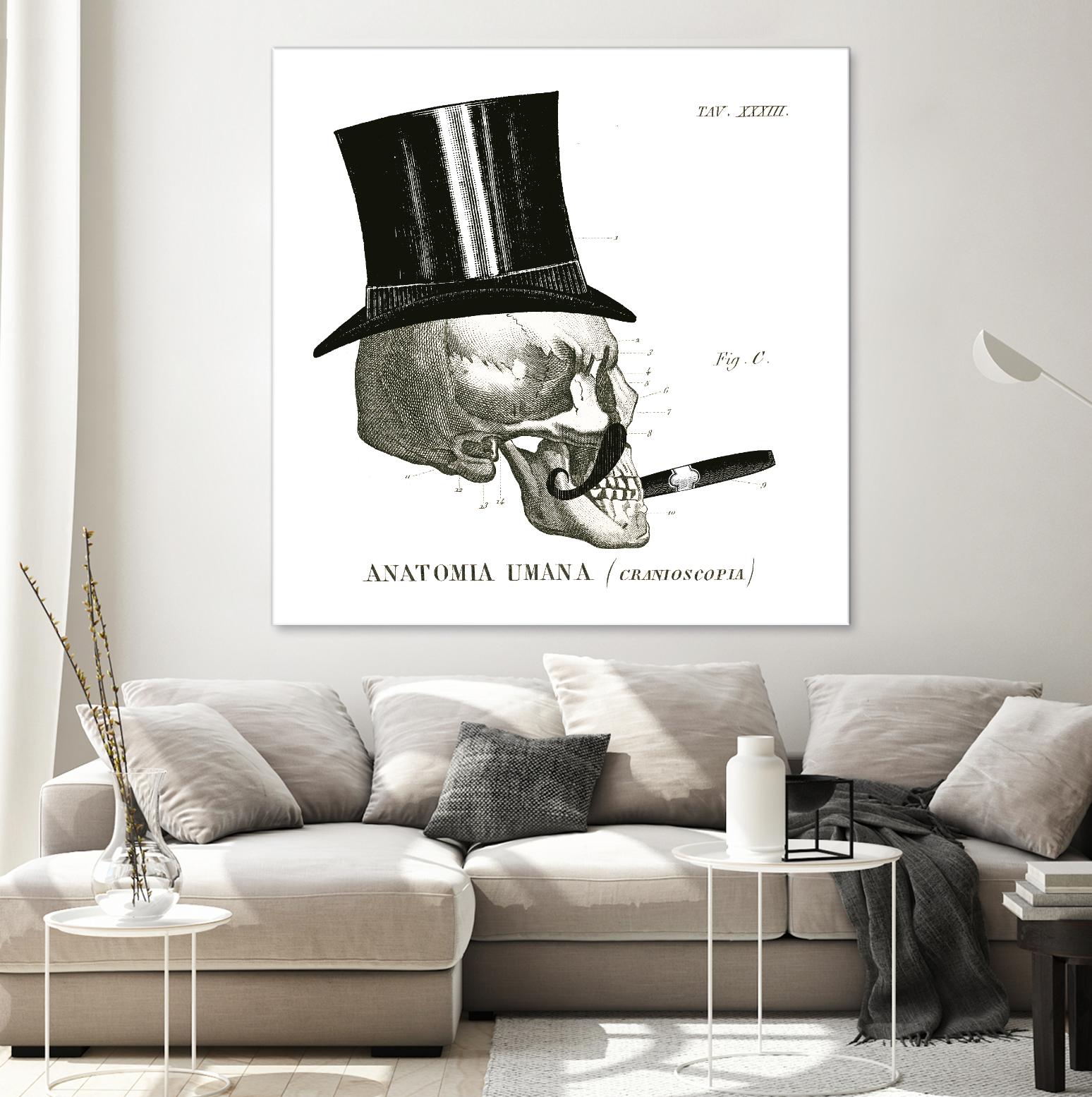 Dandy Bones III by Sue Schlabach on GIANT ART - white vintage