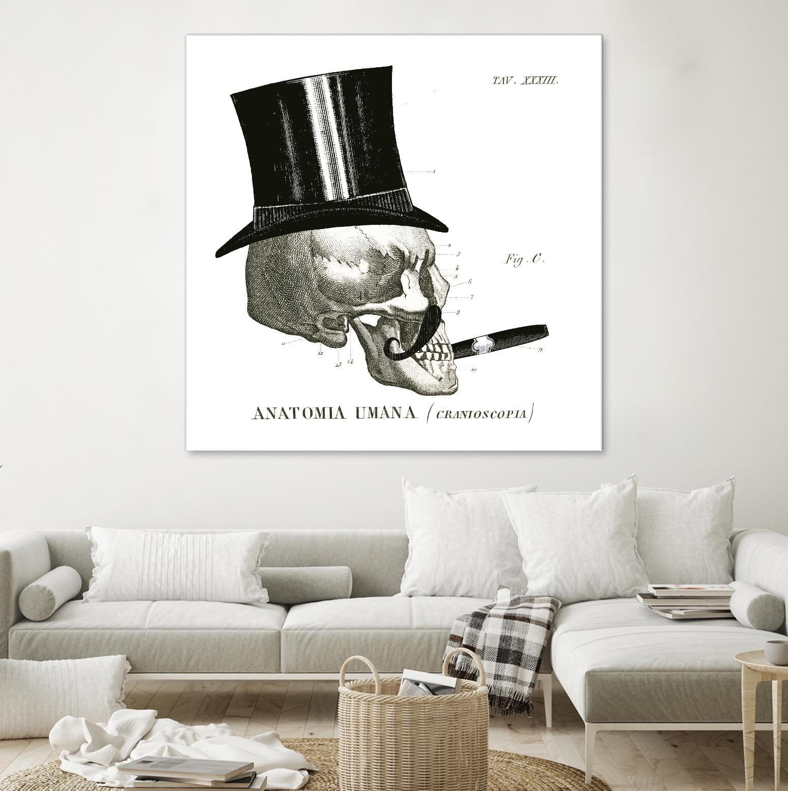Dandy Bones III by Sue Schlabach on GIANT ART - white vintage