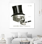 Dandy Bones III by Sue Schlabach on GIANT ART - white vintage