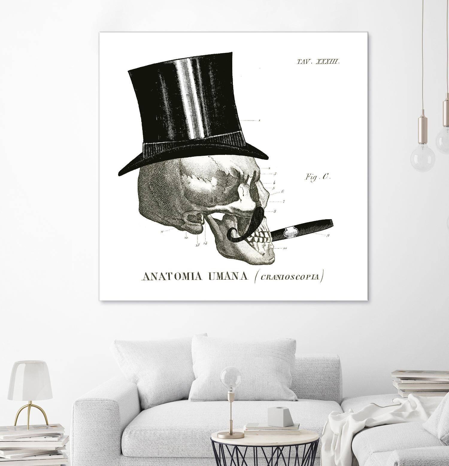 Dandy Bones III by Sue Schlabach on GIANT ART - white vintage