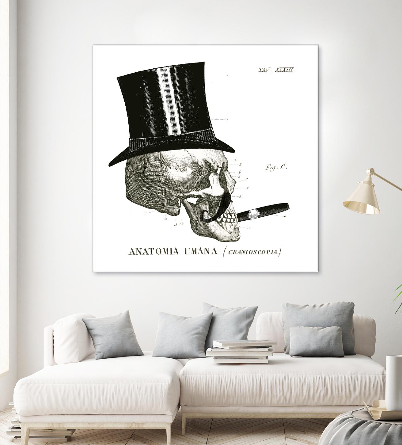 Dandy Bones III by Sue Schlabach on GIANT ART - white vintage