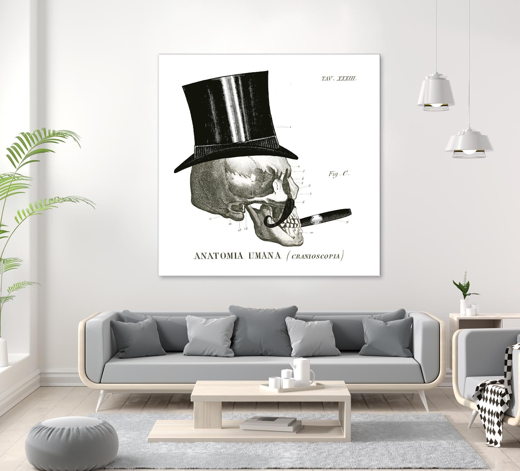 Dandy Bones III by Sue Schlabach on GIANT ART - white vintage