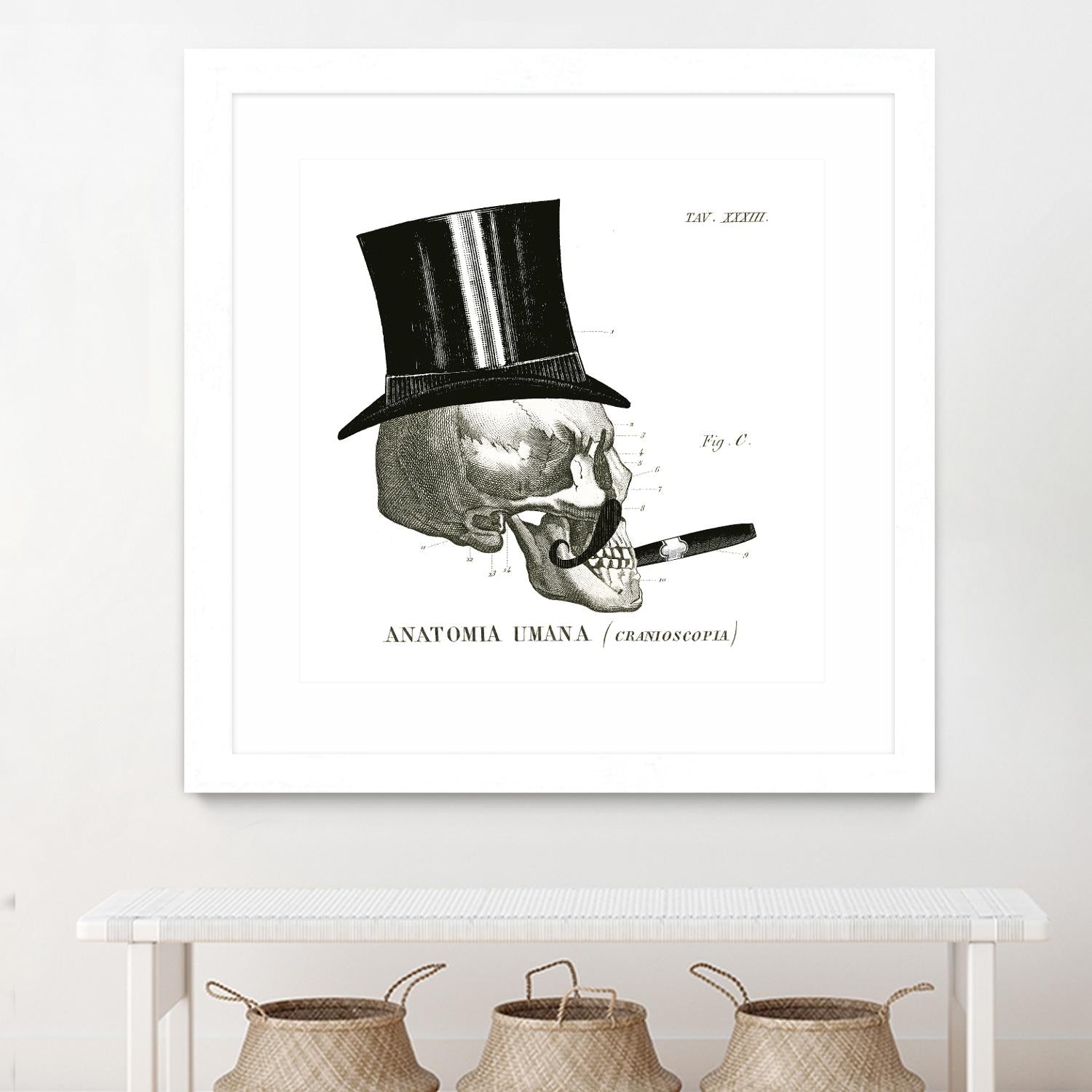 Dandy Bones III by Sue Schlabach on GIANT ART - white vintage