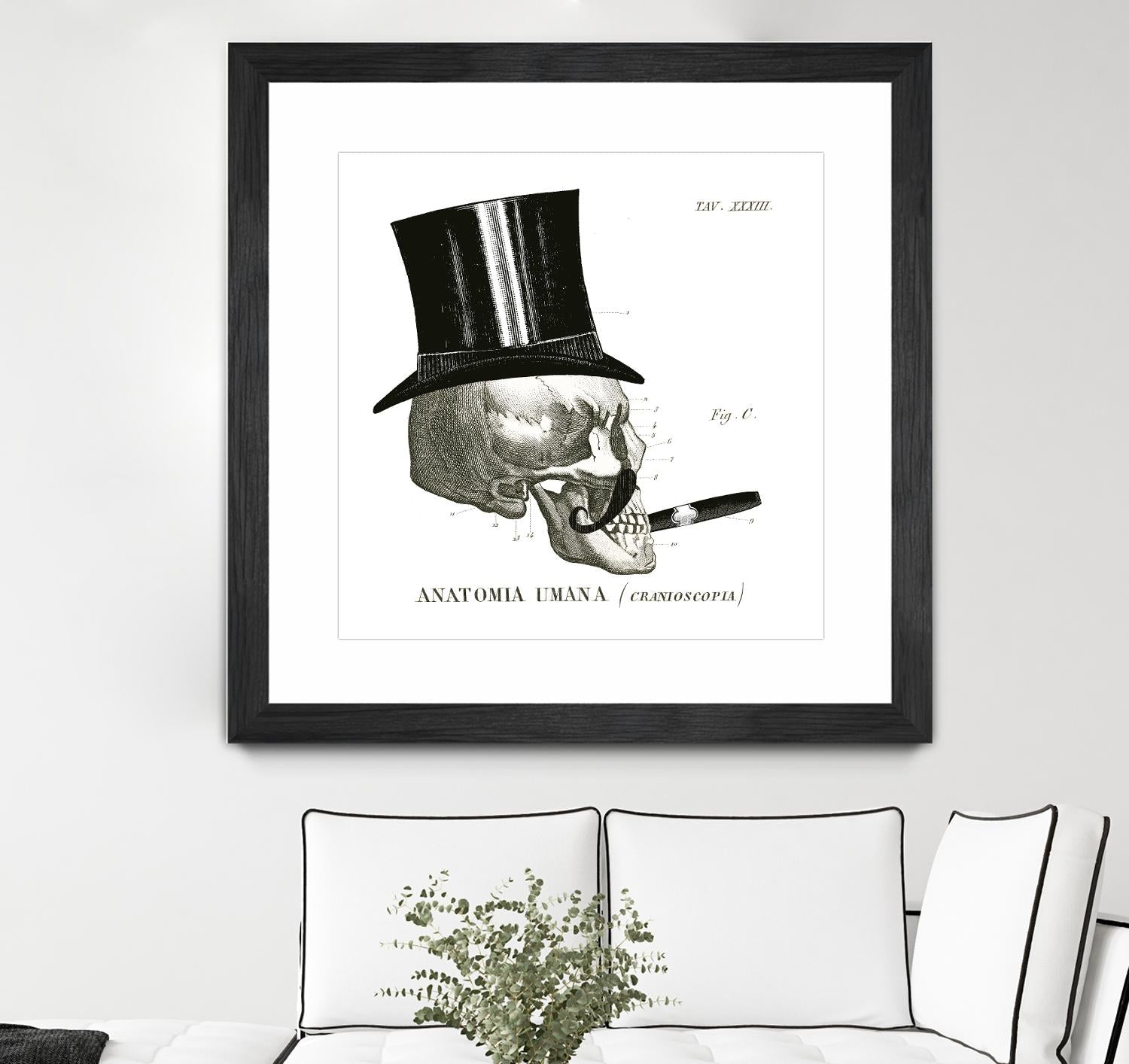 Dandy Bones III by Sue Schlabach on GIANT ART - white vintage