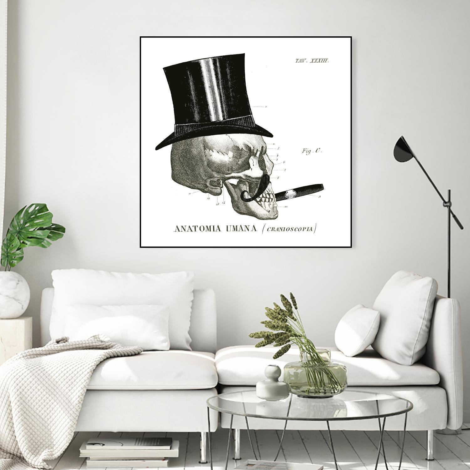 Dandy Bones III by Sue Schlabach on GIANT ART - white vintage